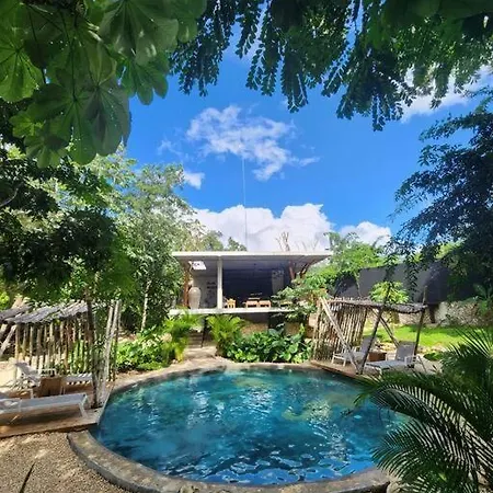 Experiencia Natural Unica Tulum